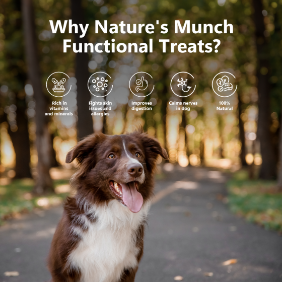 Pawfect Nature's Munch Health & Digestion Dog Treat 75g