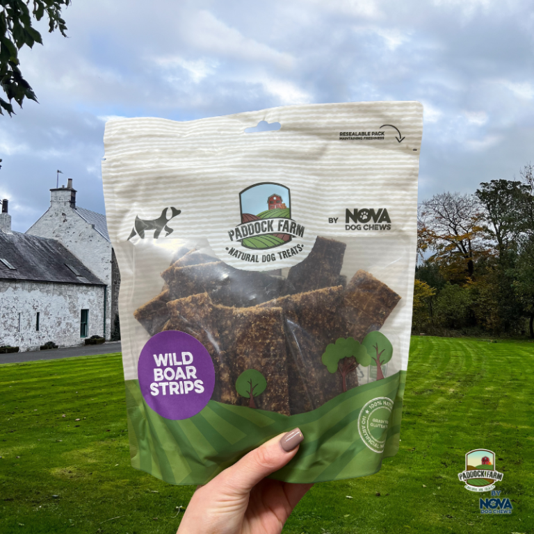Paddock Farm Wild Boar Strips dog treats in resealable pouch, held in front of a countryside setting, high-protein grain-free chews made from 100% wild boar, available at Amyβs Pet Supplies.