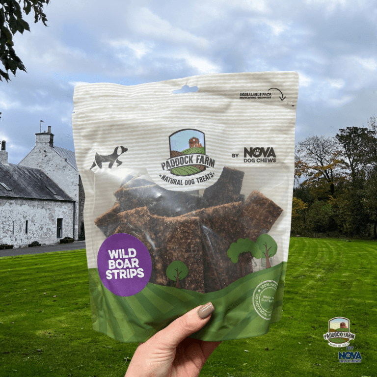 Paddock Farm Wild Boar Strips dog treats in resealable pouch, held in front of a countryside setting, high-protein grain-free chews made from 100% wild boar, available at Amy’s Pet Supplies.