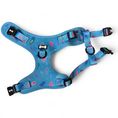 Close-up of adjustable clips on neck and chest of teal harness