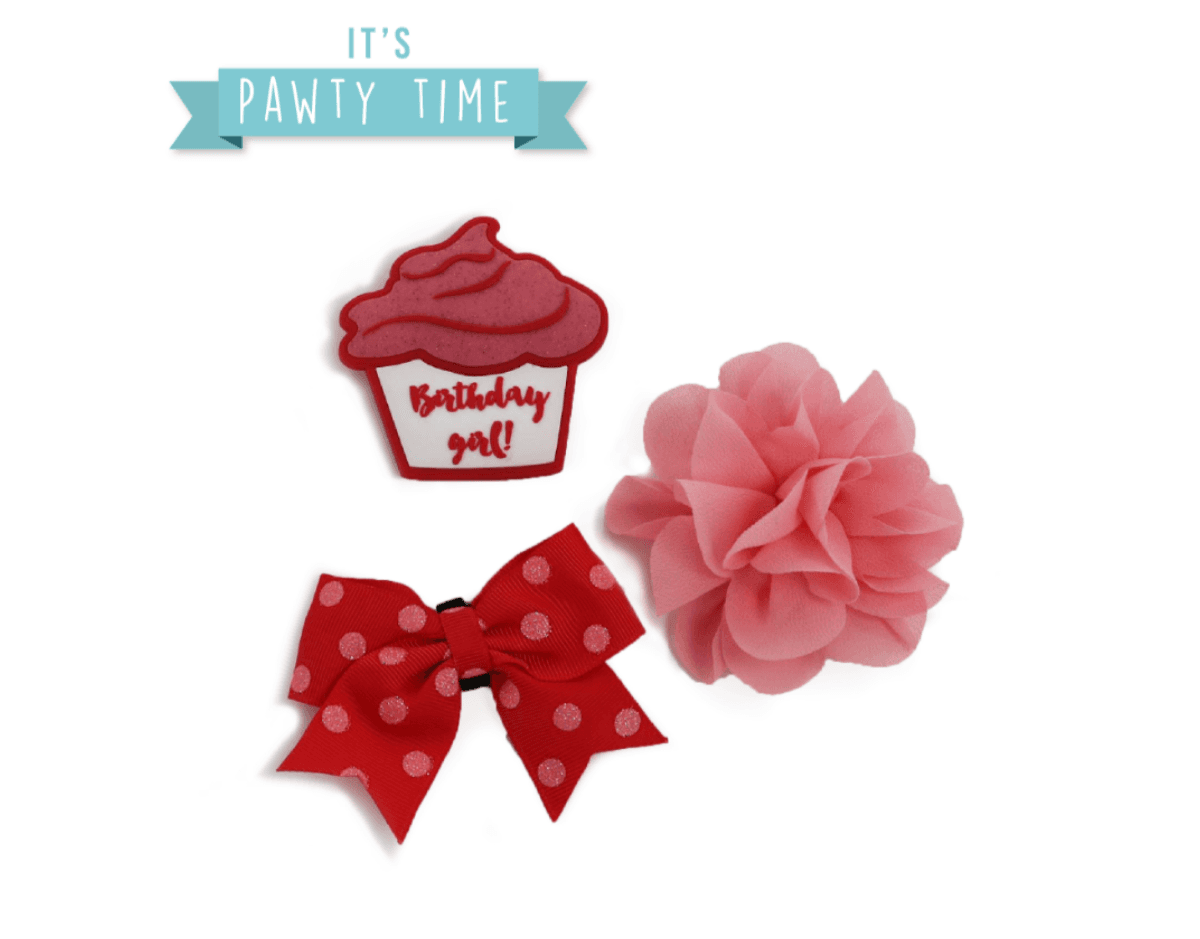 Ancol birthday badge with red bow and pink pom-pom collar accessories