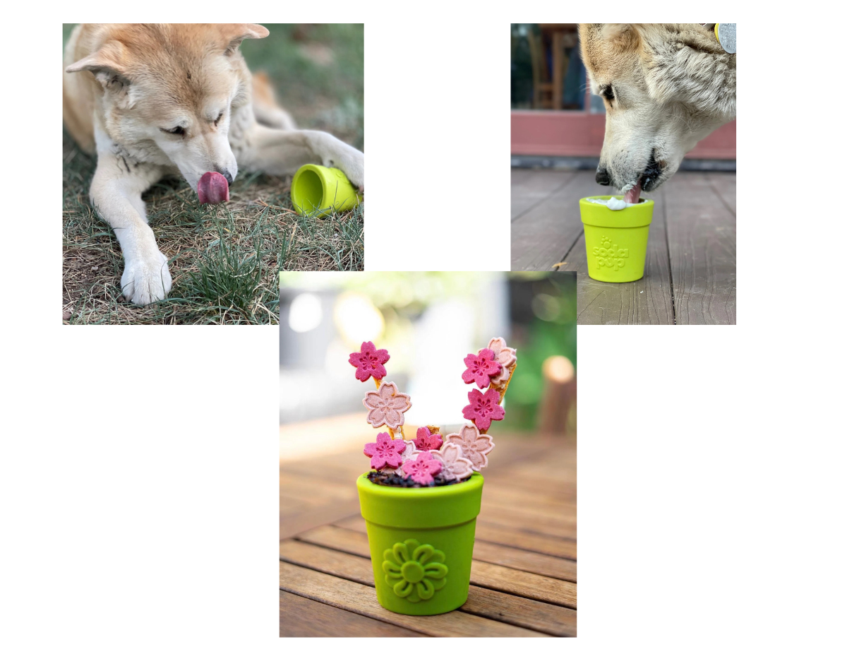 Soda Pup Flower Pot Treat Dispenser For Dogs
