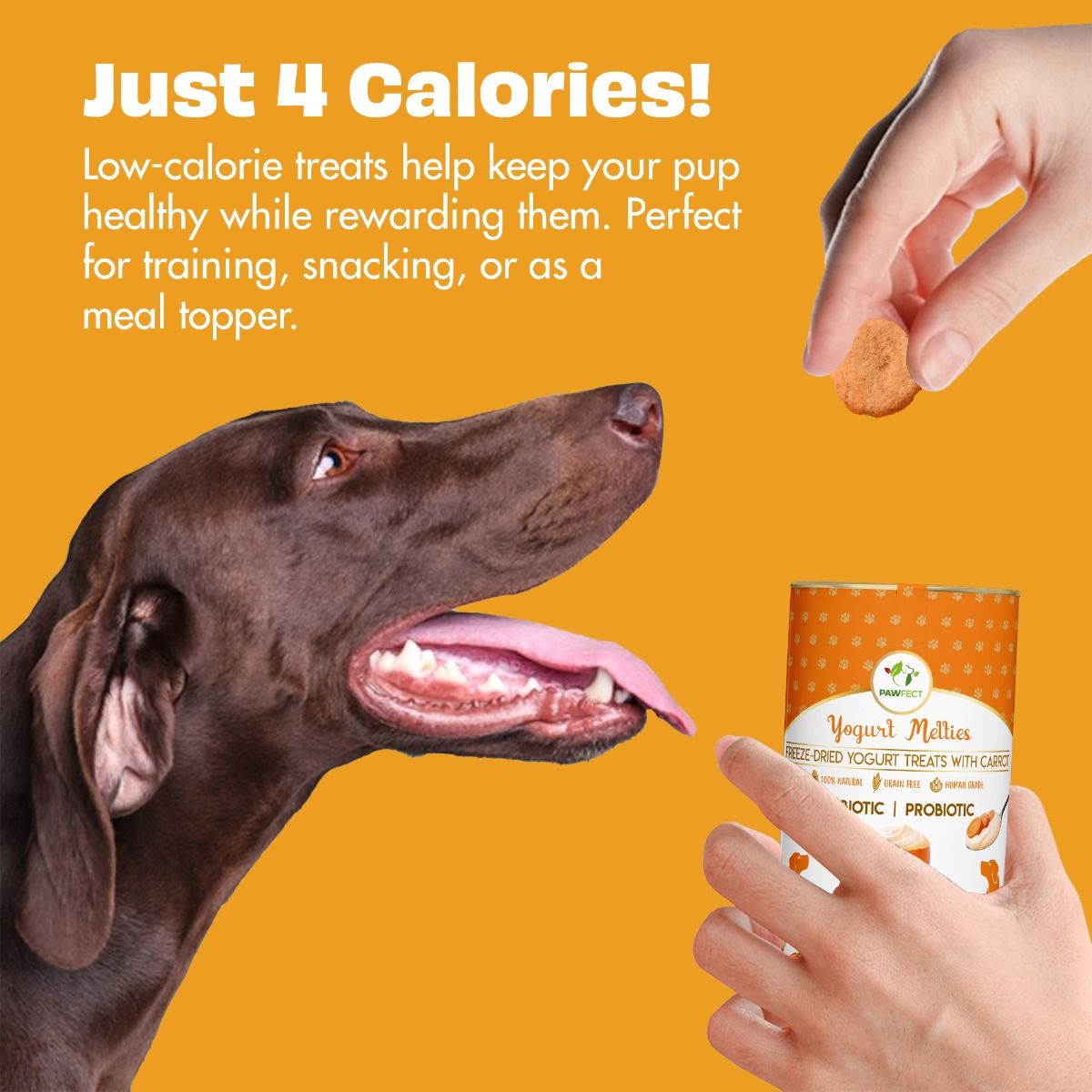 Pawfect Pre and Probiotic Dog Treats: Pumpkin & Yogurt 38g