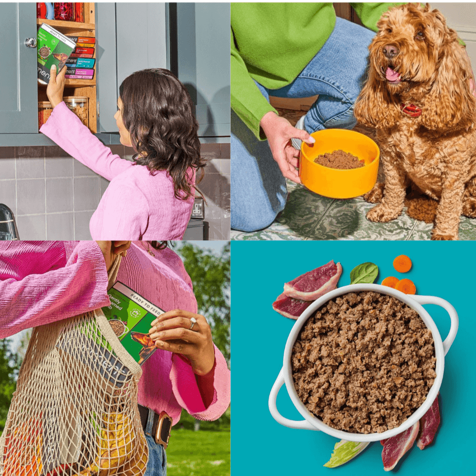 Nutriment Gently Steamed Complete Dog Food – Ambient Raw-Inspired Meals.