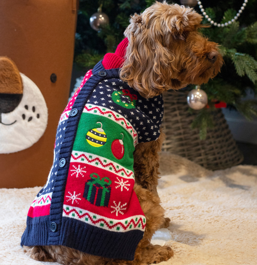 Cupid & Comet Christmas Eve Gift Box for Dogs – includes gingerbread jumper, toy, and chicken treats