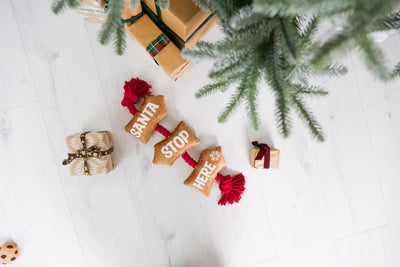 Santa Stop Here Rope Dog Toy