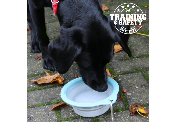 Ancol Collapsible Travel Bowl – Medium | Portable Dog Water & Food Bowl