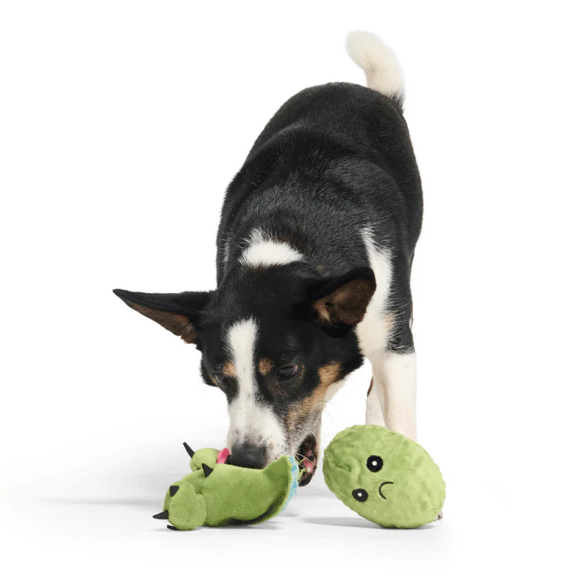 BARK Consuela The Cactus Dog Toy – Plush Rip & Reveal Toy with Hidden Squeaker Ball