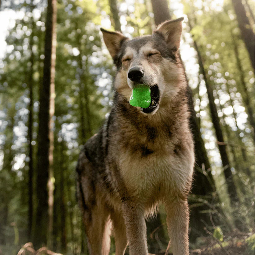 BARK Super Chewer Munchie the Bear Dog Toy – Green Rubber Treat-Dispensing Toy