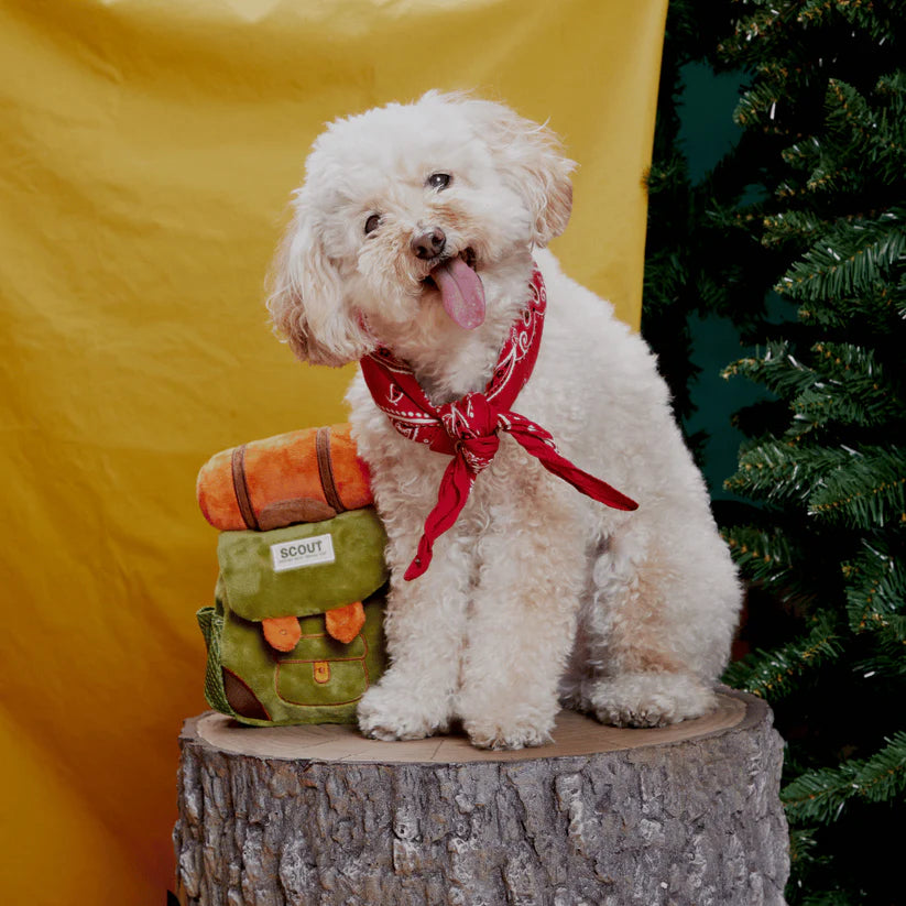 BARK Rowdy Ruckus Rucksack Dog Toy – Plush Treat Hide & Seek Backpack with Squeaker
