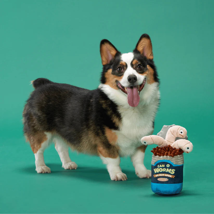 Dog playing with BARK Live Bait Bites squeaky worm toy