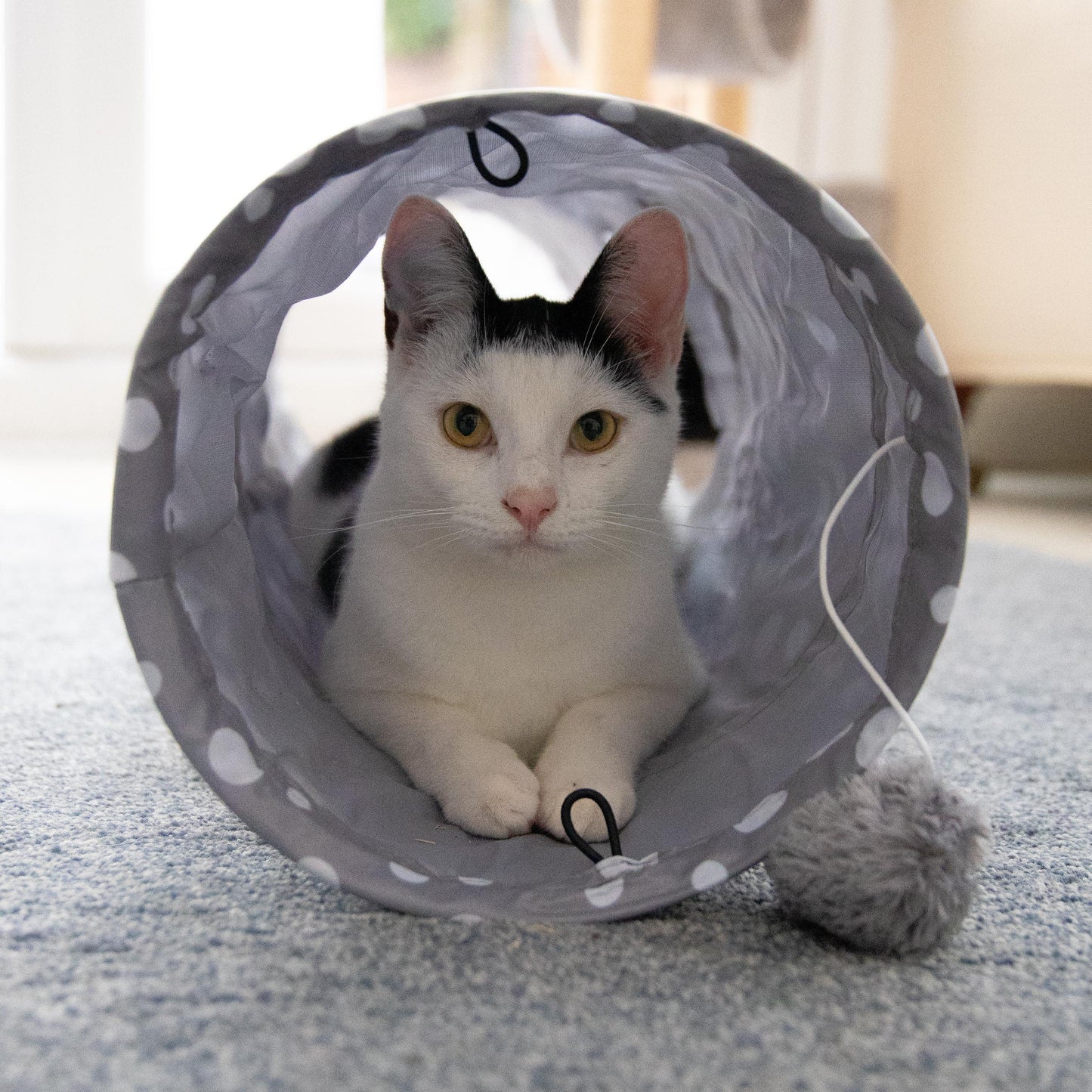 Jolly Moggy Pop Up Cat Tunnel – Crinkle Toy with Plush Ball & Catnip (90cm)