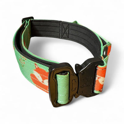 Pup Chic Inquisitive Fox Tactical Dog Collar (L–XL) – Heavy-Duty Adjustable Collar for Strong Dogs
