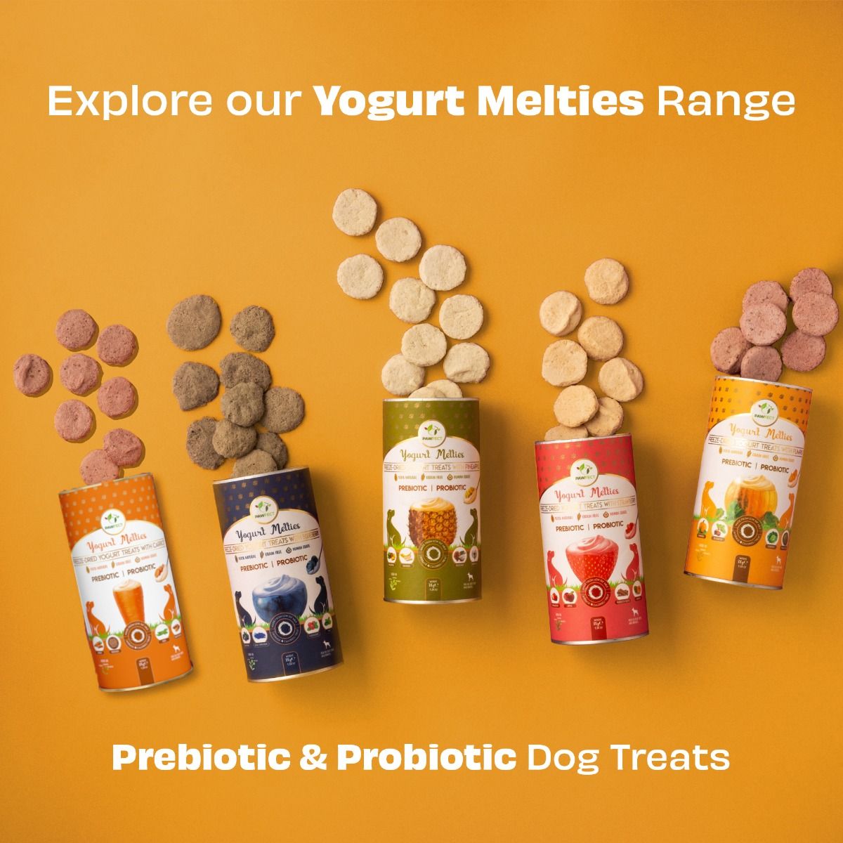 Pawfect Pre and Probiotic Dog Treats: Pumpkin & Yogurt 38g