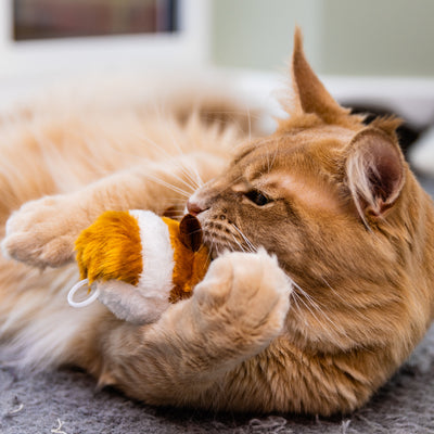 Interactive buzzing mouse cat toy encouraging chasing and pouncing