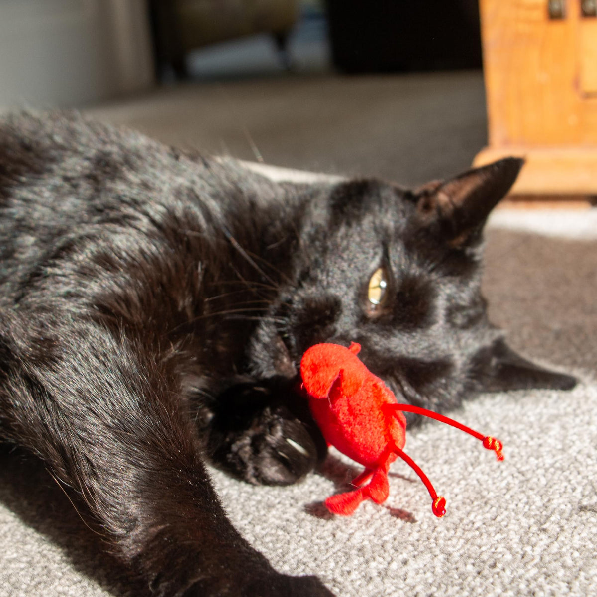 Ancol Sea Creatures Cat Toy 3 Pack.