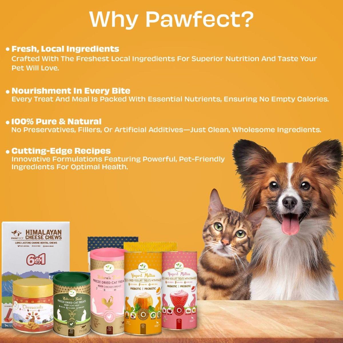 Pawfect Pre and Probiotic Dog Treats: Pumpkin & Yogurt 38g.