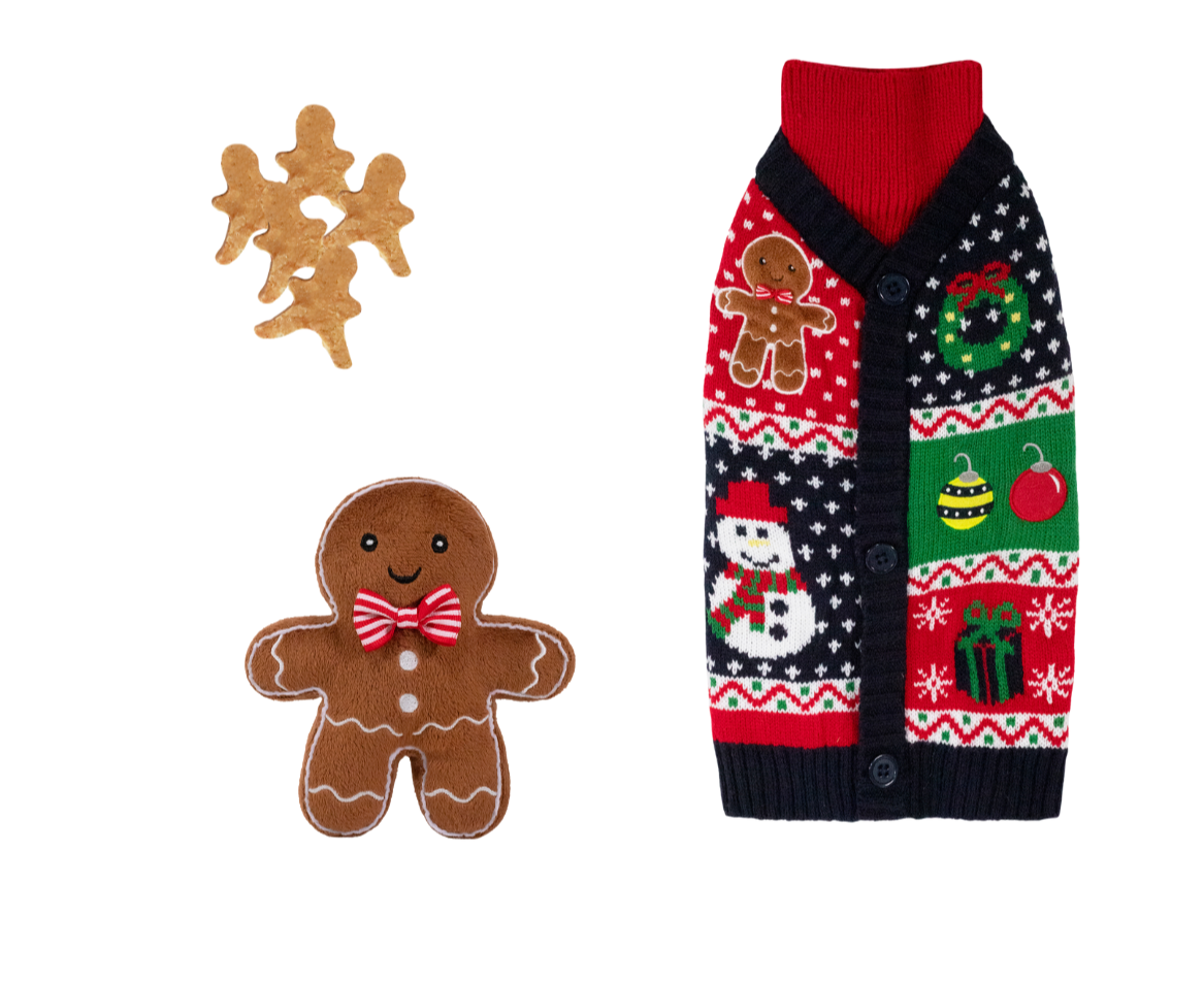 Cupid & Comet Christmas Eve Gift Box for Dogs – includes gingerbread jumper, toy, and chicken treats