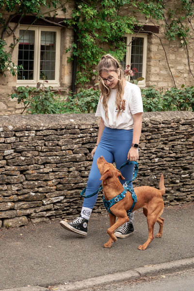 Twiggy Tags Close Control Lead – Lagoon.