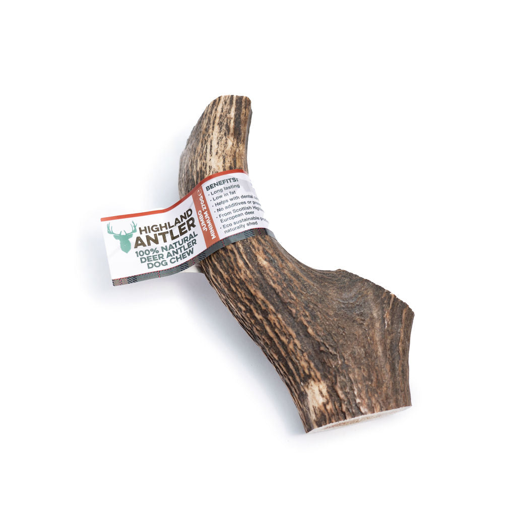 Highland Antler Natural Dog Chew