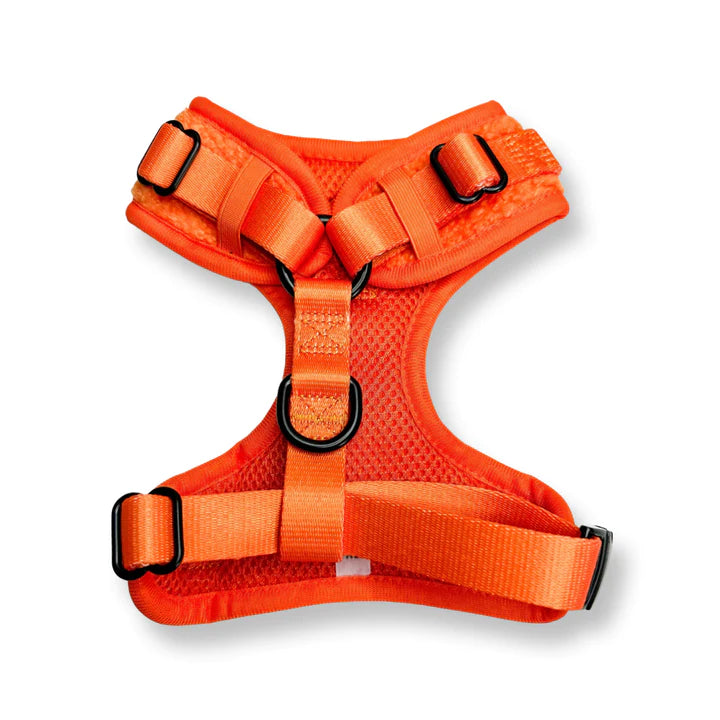 Pup Chic - Autumn Sun Fleece Range- Harnesses, Leads, Etc
