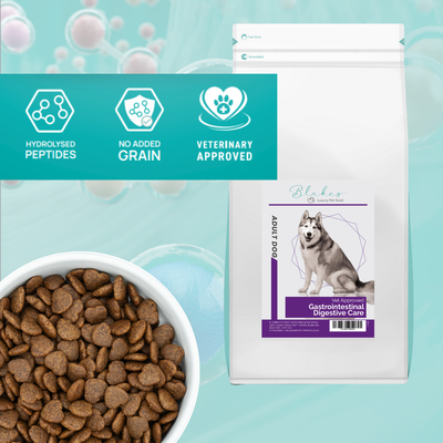 Blakes Luxury Per Food Gastrointestinal digestive care Dog food package with bowl of kibble on a light blue background. Hydrolysed