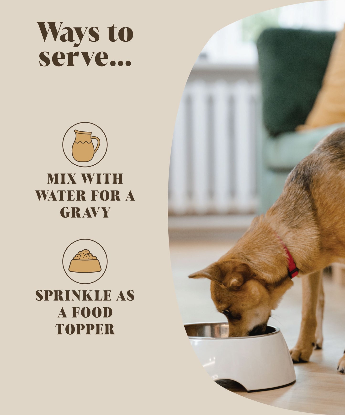 Hackney Dog House - Chicken Bone Broth Powder