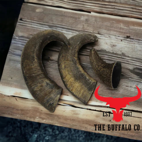 Buffalo Horn-Large (6-8 inch)-Dog Treats