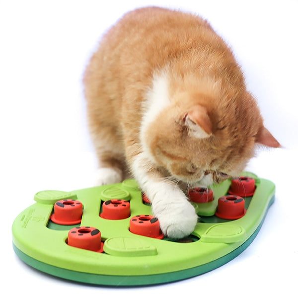 Orange and white cat using the Petstages Buggin’ Out Puzzle & Play enrichment toy to find treats hidden under ladybird and leaf sliders