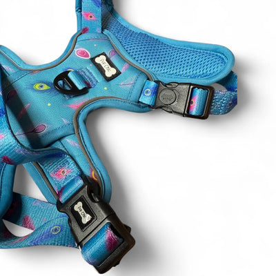Close-up of lockable buckle and D-ring on teal tactical harness on dog harness