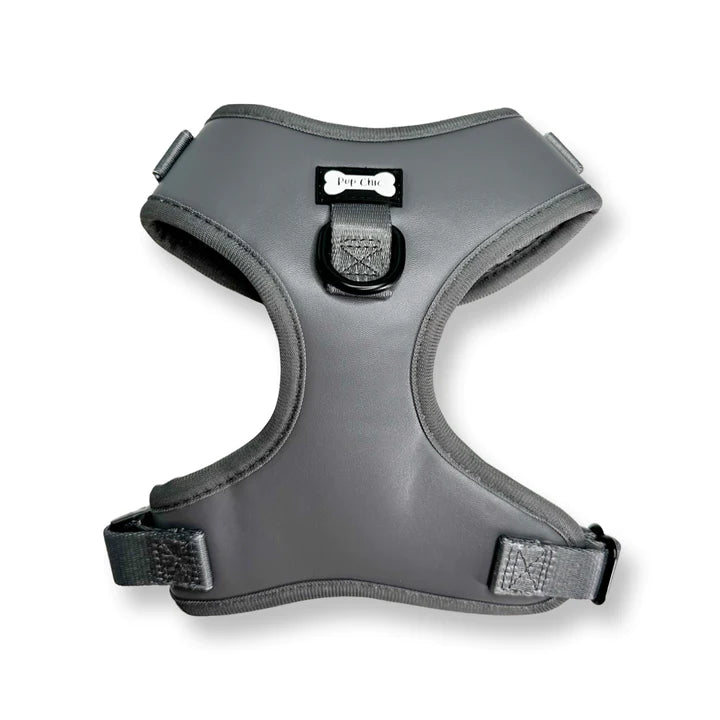 Gray dog harness on a white background