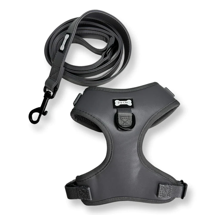 Gray dog harness and leash set on a white background