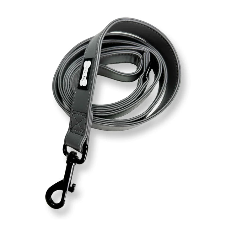 Gray dog leash with a clip on a white background