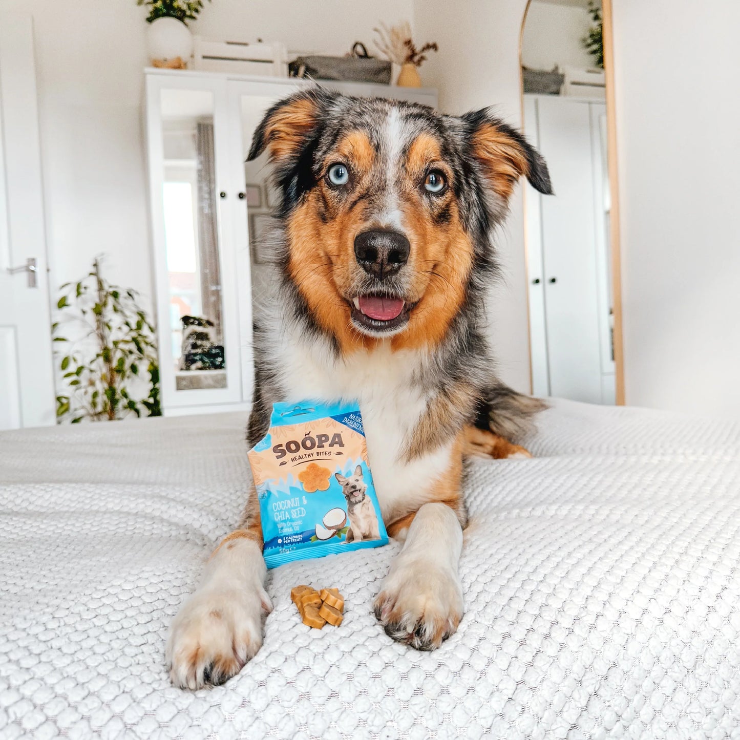 Soopa - Healthy Bites Dog Treats