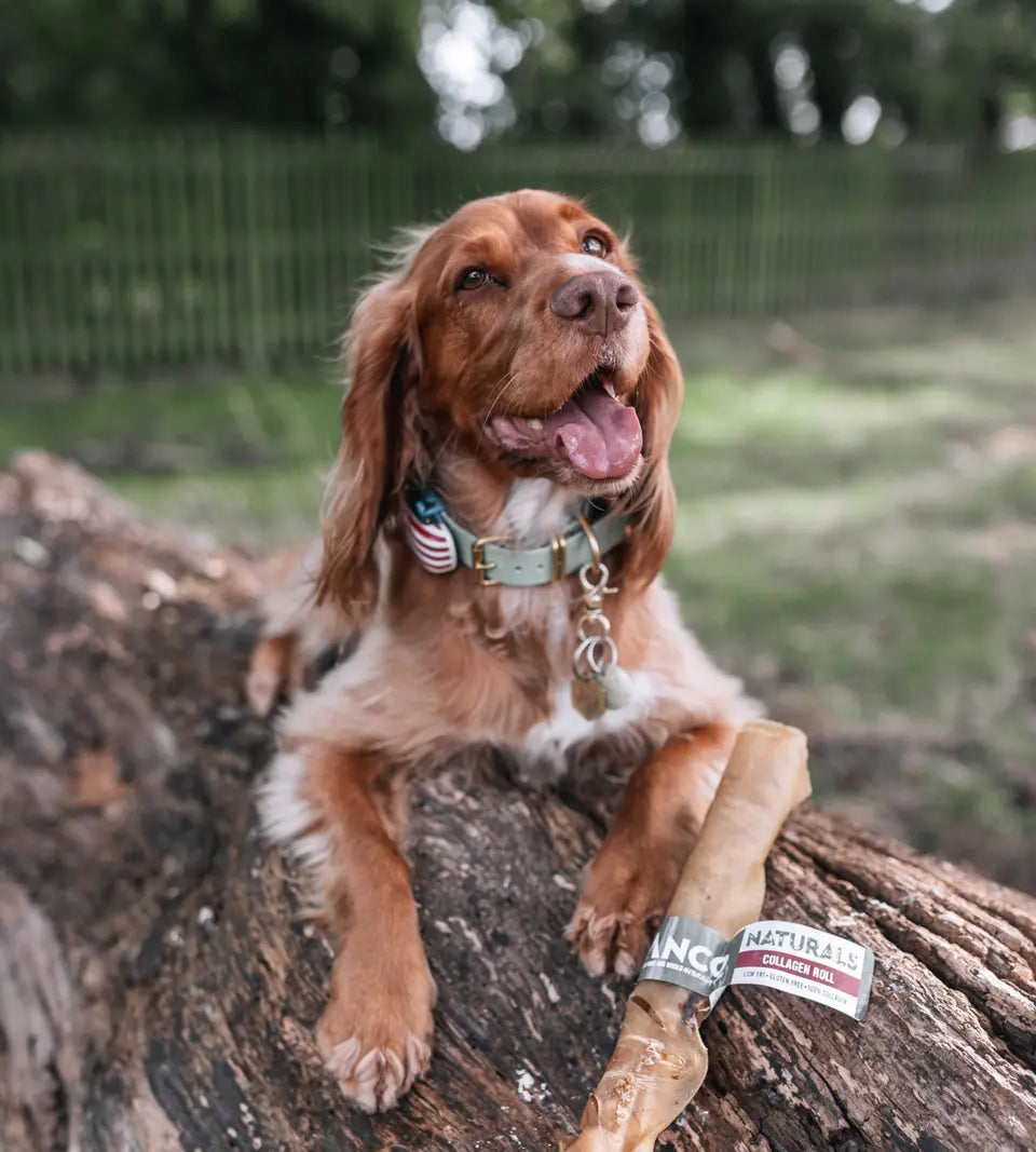 Anco Naturals Beef Collagen Roll Large Dog Chew.