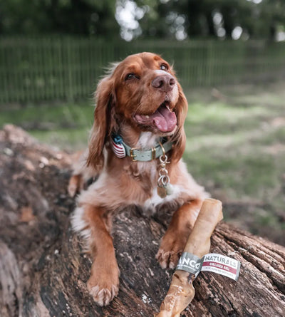 Anco Naturals Beef Collagen Roll Large Dog Chew.