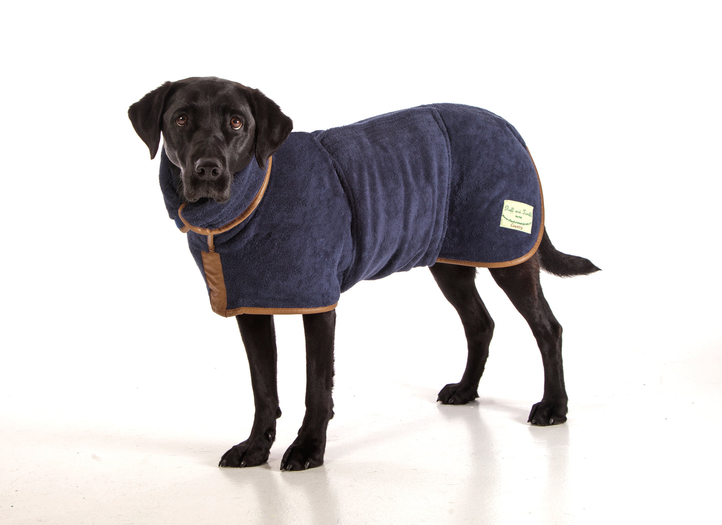 Black Labrador wearing a navy Ruff and Tumble dog drying coat with brown trim, made from double-layered cotton towelling, ideal for drying wet dogs after baths or walks, available at Amy’s Pet Supplies.