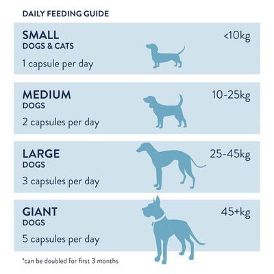 Daily feeding guide for small, medium, large, and giant dogs with capsule illustrations.