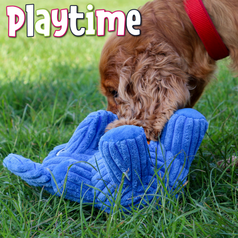 Dog playing with blue plush elephant toy on grass, interactive design with treat dispenser, ideal for enrichment and active play