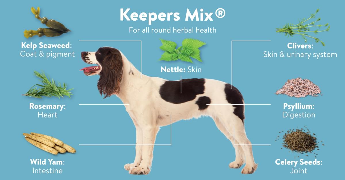 Dorwest Keeper’s Mix ingredient and wellbeing infographic for dogs