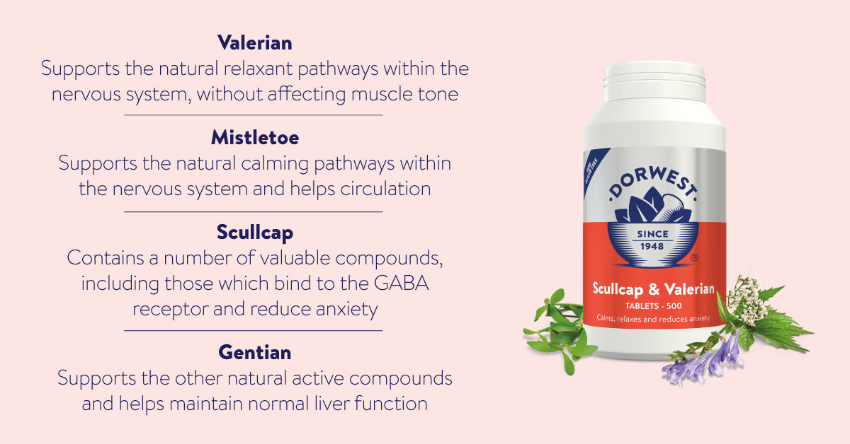 Dorwest Scullcap & Valerian Tablets For Dogs And Cats