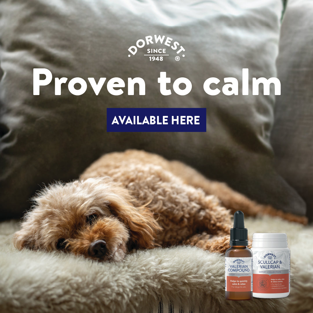 Dorwest Scullcap & Valerian Tablets For Dogs And Cats