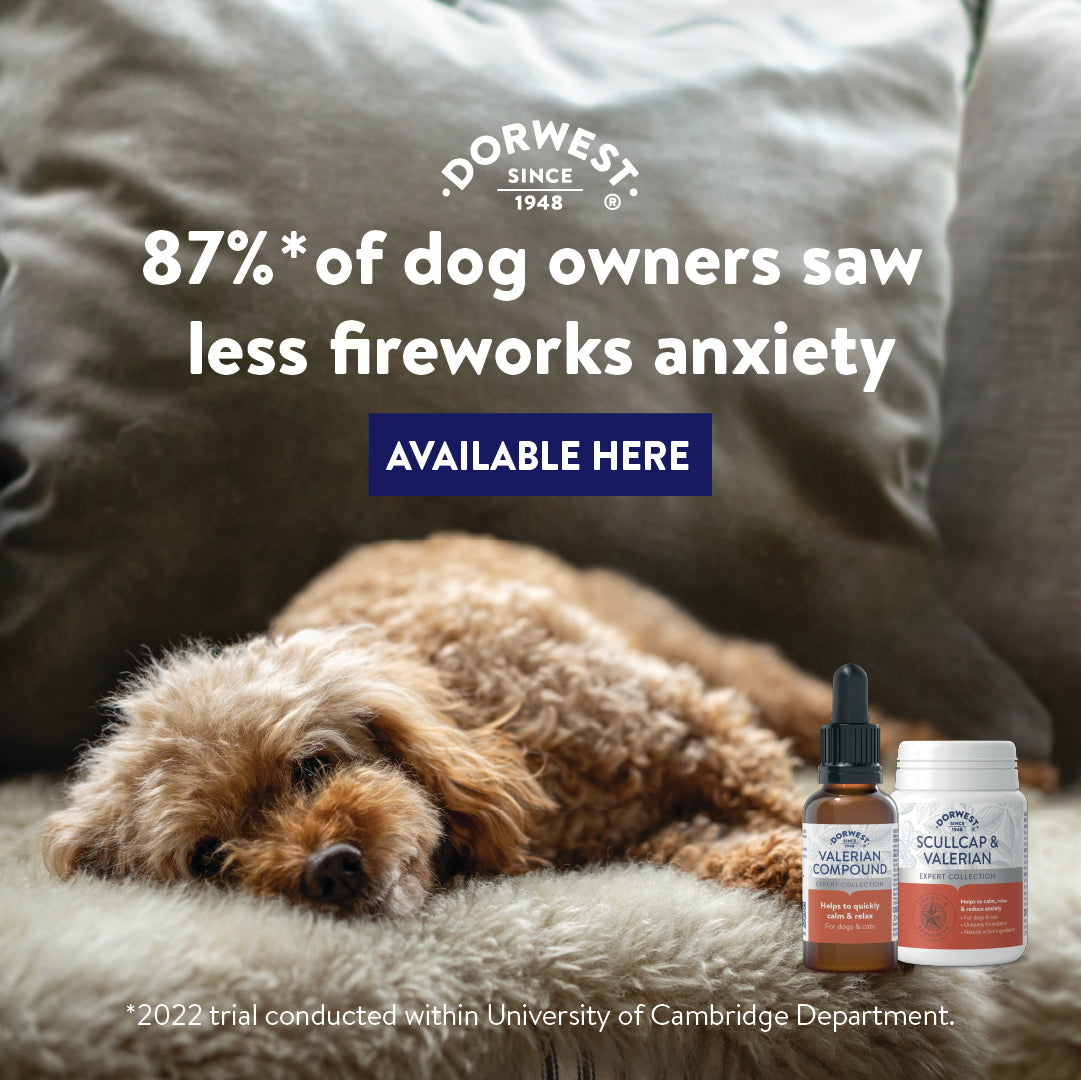 Dorwest Scullcap & Valerian Tablets For Dogs And Cats