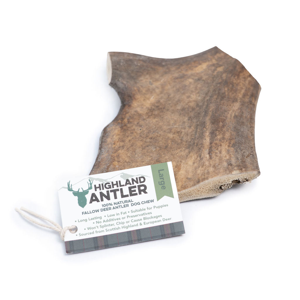 Fallow Antler Natural Dog Chew - Large