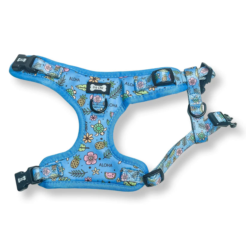 Pup Chic - Island Breeze Range- Harnesses, Leads, Etc