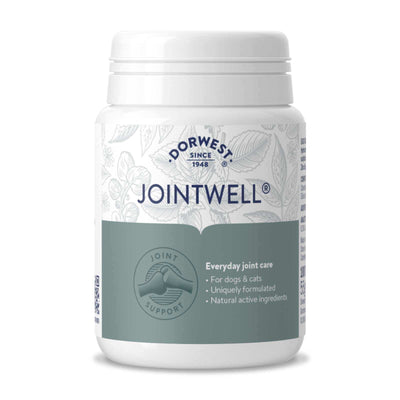 JointWell® joint supplement for dogs and cats – supports long-term joint health with glucosamine, chondroitin, and hyaluronic acid.