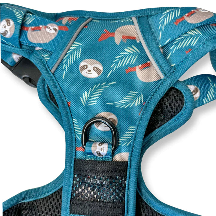 Pup Chic - Lazy Sloth Range- Harnesses, Leads, Etc