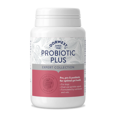Dorwest Probiotic Plus Capsules — Pre, Pro, Postbiotic Gut Support for Dogs.