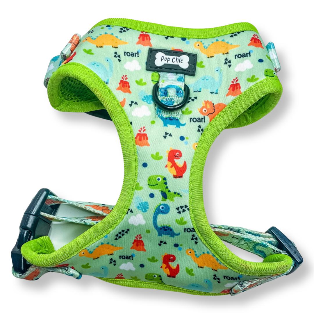 Pup Chic - Prehistoric Pup Range- Harnesses, Leads, Etc