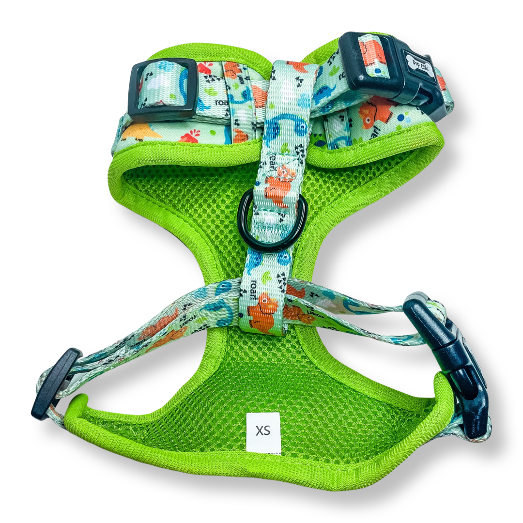 Pup Chic - Prehistoric Pup Range- Harnesses, Leads, Etc